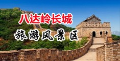 免费看草逼中国北京-八达岭长城旅游风景区